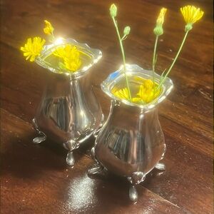 Adorable silver flower pots